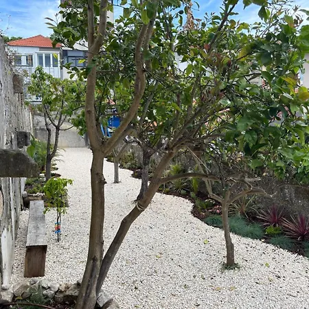 Bright With Garden