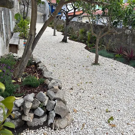 Bright With Garden Apartment