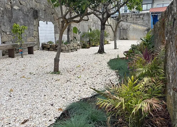 Lejlighed Bright With Garden Porto