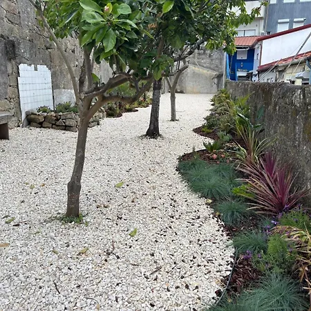 Bright With Garden * Oporto